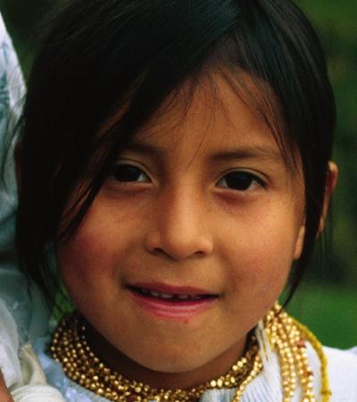 These little piggies went to market...